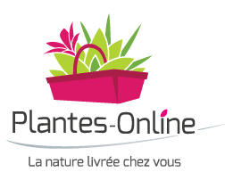 Logo Plantes Online